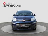 Fiat Panda LOUNGE+PDC+MULTIFUNKTIONSLENKRAD+ISOFIX - Fiat Panda: Blau