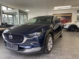 Mazda CX-30 2.0 122PS Selection Des-P Premium-P 18 Zol - blaue Mazda CX-30