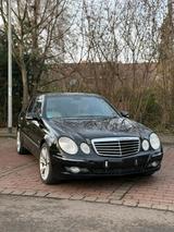 Mercedes-Benz Mercedes Benz E420 CDI Facelift 2008 Sitzb... - Mercedes-Benz E 420: Cdi
