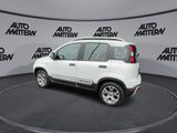 Fiat Panda Cross Klimaautomatik|Einparkhilfe|Allwette - Fiat Panda Gebrauchtwagen in Bielefeld