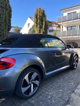 Volkswagen VW Beetle Cabriolet 1.6 TDI Design, Leder, Xenon - Volkswagen Beetle mit Diesel-Antrieb: Cabrio