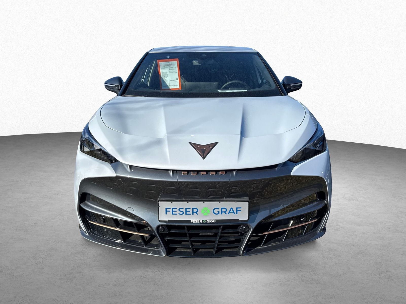 Cupra Tavascan - Bild 2