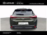 Lexus UX 300 h F-Sport Design 15 Jahre Lexus Relax Gar - Lexus UX Tageszulassungen