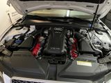 Audi RS5 (4,2 V8) - Top-Zustand, 20 Zoll-R... - Audi RS5 aus 2010