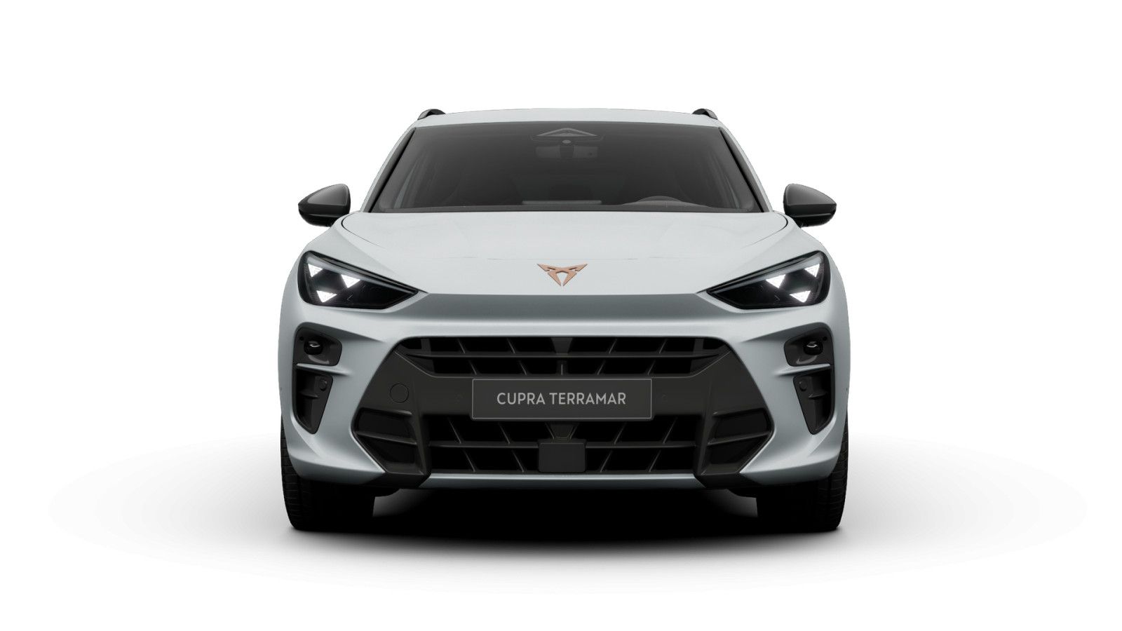 Cupra Terramar - Bild 3