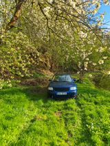 Volkswagen VW Passat 3BG / B5 (Audi a4 B5) 1.6 nur op... - Volkswagen Passat aus 2001
