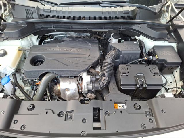 Ssangyong Torres Forest Edition 1.5 °LED°Navi°RFK°AHK°SHZ°