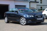 Audi A3 1.6 Cabriolet *LEDER *KLIMA *XENON *ALU - Audi A3: Cabrio, 1.6