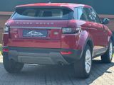 Land Rover Range Rover Evoque Pure +TMPMT+LEDER+NAVI+ - Land Rover Range Rover Evoque mit Diesel-Antrieb