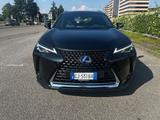 Lexus UX Hybrid 250 Exsecutive - gebrauchte Lexus Kombis