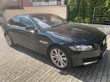 Jaguar XF 30d 300PS Portfolio Autom., USt. awb. - Jaguar XF Portfolio mit Diesel-Antrieb