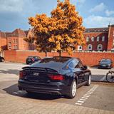 Audi A7 3.0 TDI 272 PS NEUE Steuerkette Vollausstattu - Audi A7 Gebrauchtwagen in Hannover