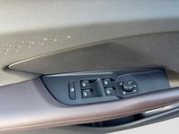 Cupra Terramar - Vorschau Bild 12