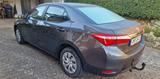 Toyota Corolla 1,33-l-Dual-VVT-i Cool Cool - Toyota Corolla: 1.3