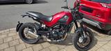 Benelli Leoncino 500 trail - BENELLI LEONCINO