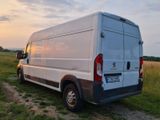 Peugeot Boxer - Peugeot Boxer in Frankfurt (Main)