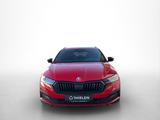 Skoda Octavia 2.0 TDI DSG 4x4 Sportline/Pano/Canton/19 - Skoda Vorführfahrzeuge mit Diesel-Antrieb: Allradantrieb