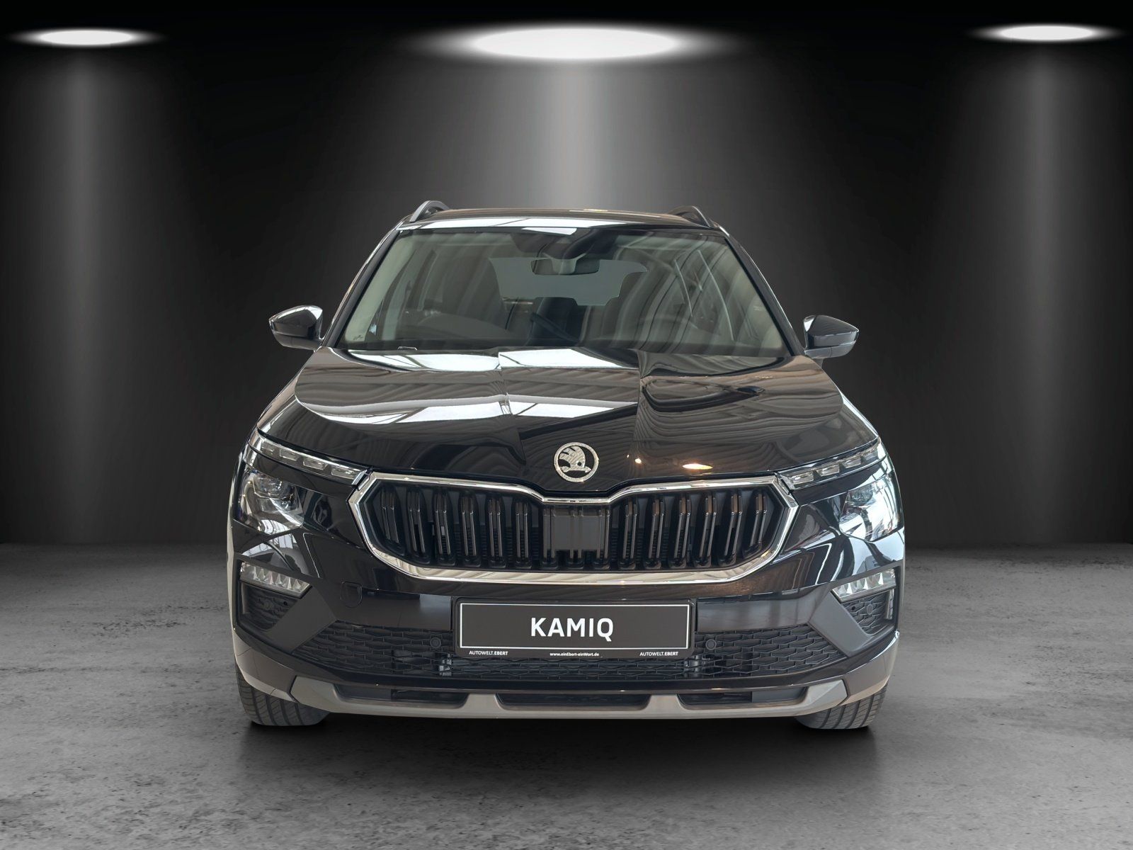 Fahrzeugabbildung SKODA Kamiq Tour 1,0 TSI 85 kW DSG