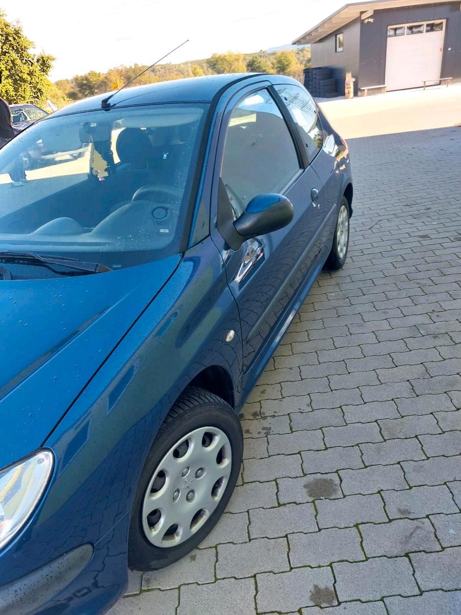 Peugeot  2005 — салон