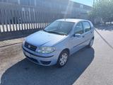 Fiat Punto 1.2 5 porte Dynamic - Fiat Punto: Dynamic