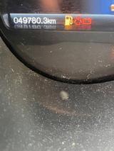 Ford Ranger Wildtrak 2.2, Hardtop,Pick Up Zulassung - Ford Ranger: Hardtop