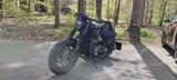 Triumph Bonneville Bobber, Jekill & Hyde, Wunderkind - TRIUMPH BONNEVILLE BOBBER