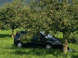 Fiat Ulysse Baujahr 2008/ Camping Fahrzeug - Fiat Ulysse mit Diesel-Antrieb