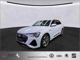 Audi e-tron 55 quattro S line *StandHz*Luftfederung* - weiße Audi e-tron