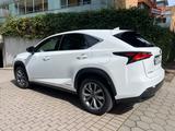 Lexus NX 300h E-FOUR F SPORT  - Lexus: Nx