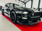 Ford Mustang 5.0 Ti-VCT V8 GT -Shelby GT350 Optik - Ford Mustang: Gt350 Shelby