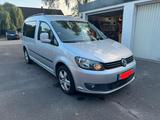 Volkswagen VW Caddy Maxi 7 Sitzer Roncalli Edition 2,... - Volkswagen Caddy Maxi: Roncalli