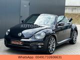 Volkswagen Beetle Cabrio*R-Line Beetle Ed.*Navi*Leder*Xenon - Volkswagen Beetle: R Line
