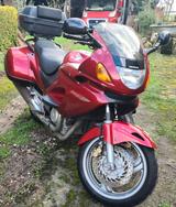 Honda NTV 650 Deauville - HONDA MÖNCHENGLADBACH