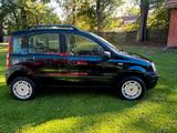 Fiat Panda 1.2 Natural Power (Gasanlage) - Fiat Panda Gebrauchtwagen in Bremen