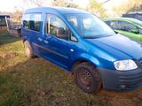 Volkswagen VW Caddy LPG Prins Gasanlage - Volkswagen Caddy mit LPG-Antrieb