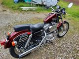 Harley-Davidson 883 Sportster - HARLEY-DAVIDSON 1986 SPORTSTER
