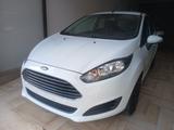 Ford Fiesta 1.6 TDCi 95CV 5 porte ECOnetic - Ford Fiesta: Econetic