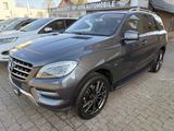 Mercedes-Benz ML 250 CDI BlueTec - Mercedes-Benz ML 250 aus 2012
