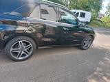 Mercedes-Benz mercedes ml 500 amg - Mercedes-Benz ML 500: AMG