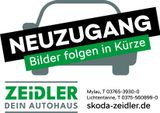 Ford Fiesta 1.25 Titanium ALU*KLIMA*NEBEL*SHZ*W-PAKET - Ford Fiesta: Rot