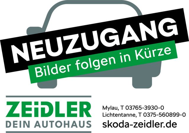Skoda Fabia Combi 1.0 TSI DSG Monte Carlo PANO*PDC*SHZ