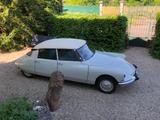 Citroën ID19 - Citroën DS: Id