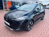 Ford Fiesta 1.0 l EcoBoost MHEV Active - Ford Fiesta Tageszulassungen mit Benzin-Antrieb