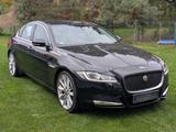 Jaguar XF 2.0d 179 PS - Luxus trifft Effizienz - : Limousine, Luxus