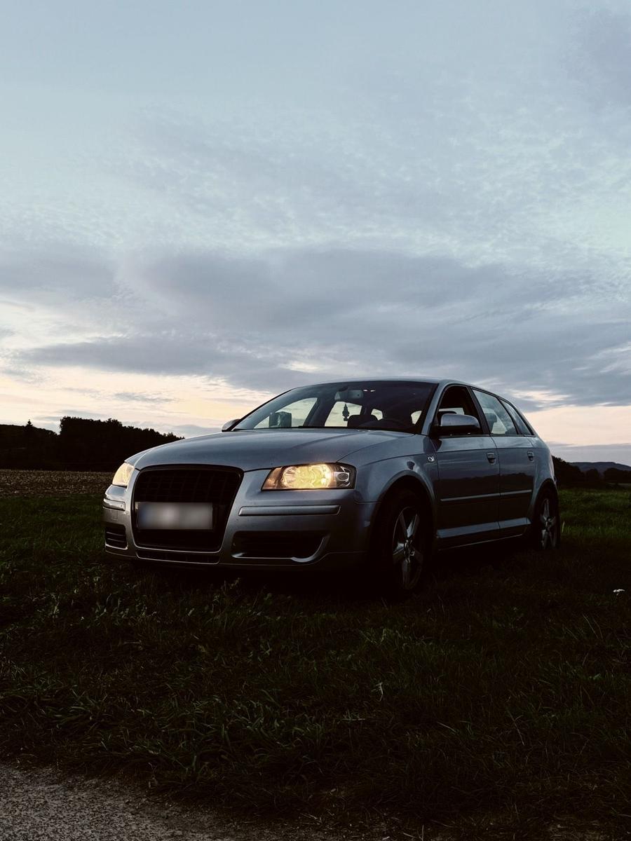 Audi A3 2005 — rear view