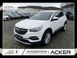 Opel Grandland X 1.2 Turbo Dynamic PDC/RFK - Opel Gebrauchtwagen in Marburg