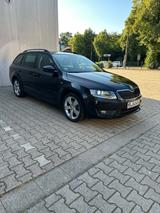 Skoda Octavia 1.6 TDI 85kW Active Combi Active - Skoda Octavia Active mit Diesel-Antrieb