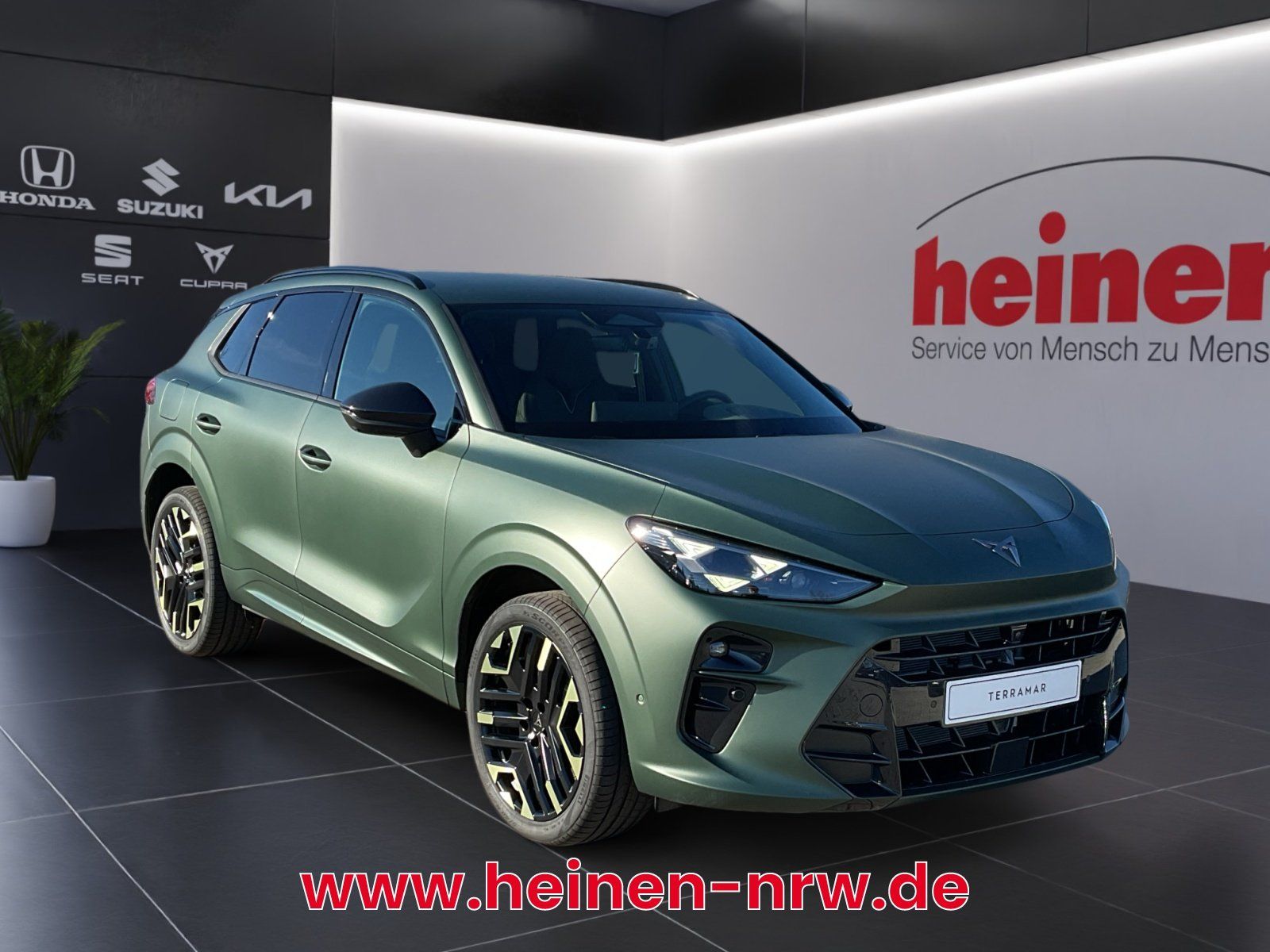 Cupra Terramar - Bild 2