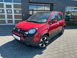 Fiat Pandina  1.0 Mild Hybrid Cross MY24