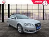 Audi A3 Cabriolet  Ambition Xenon,Navi,Alcantara,PDC - Audi Gebrauchtwagen in Rheine